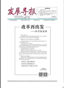发展导报